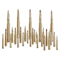 Small Caliber Ammunition